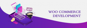 The Process of Woocommerce Development Services Explained